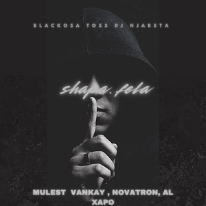 Shapa Fela (feat. Mulest Vankay, Novatron & Al Xapo)