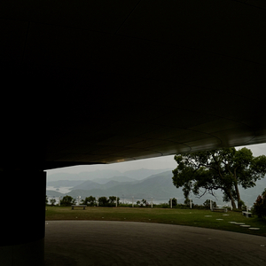 Soft days steady heart