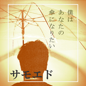 僕はあなたの傘になりたい