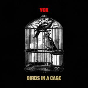 Birds in a Cage