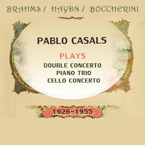 Double Concerto A Minor, Op. 102