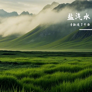 盐汽水