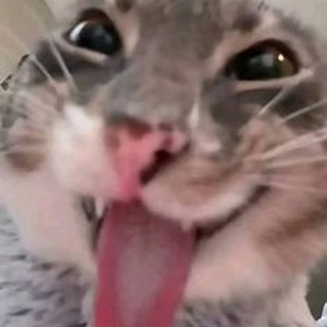 Come & Get It (slowed)