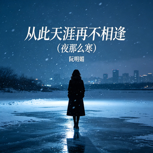 从此天涯再不相逢(夜那么寒)