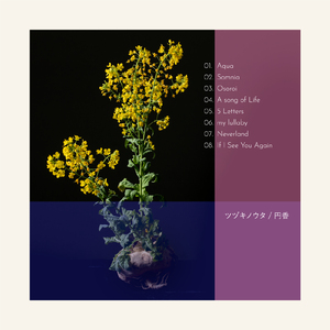 今度またあなたに会えたら