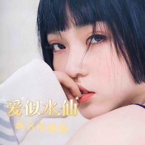 爱似水仙 (盛开在冬天的水仙) (伴奏)