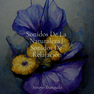 Tumbona Junto Al Lago