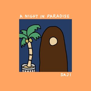 パラダイスの夜