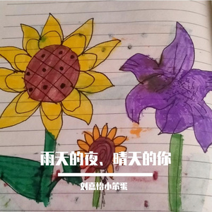 雨天的夜、晴天的你(原唱 McQj冷桥)