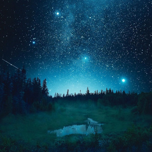 在你死后才发现从来没有和你到楼下散过步