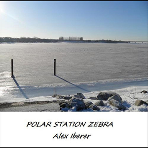 Polar Station Zebra