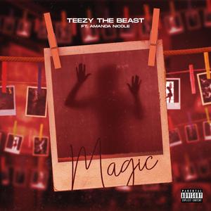 Magic (feat. Amanda Nicole)