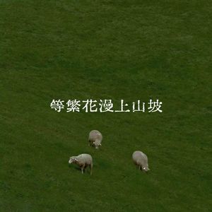 等繁花漫上山坡