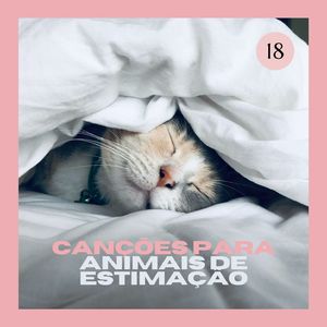 O seu Gato Dorme