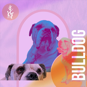 Bulldog (2025)