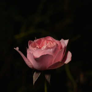Depth Of My Love