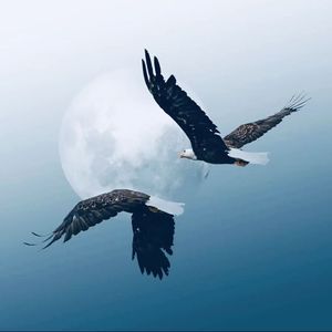 【鹰击长空】藏族采样孟菲斯说唱伴奏