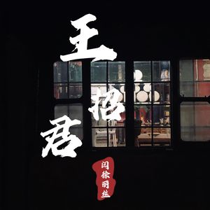 王招君(cover:任素汐）