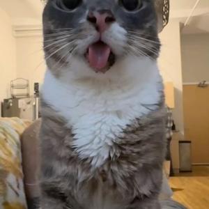 dirty work (sped up)