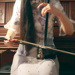 「二胡」酒酿相思（Cover 檀烧）