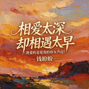 相爱太深却相遇太早（我爱的是爱我的你女声dj）