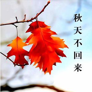 秋天不回来 (深情男声版)