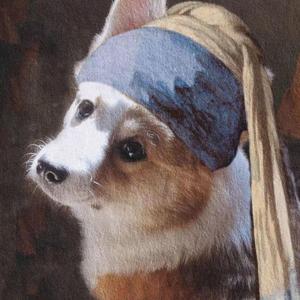 想带你去最遥远的屿