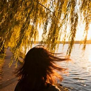 风吹故人远去天边