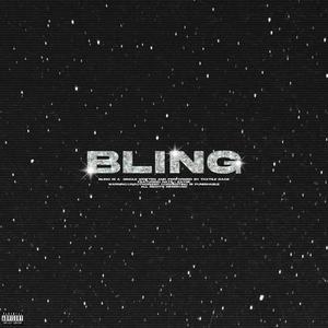 BLING (feat. Zayne & Motheii)