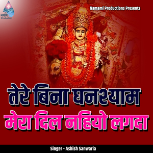 Tere Bina Ghanshyam Mera Dil Nahiyo Lagda