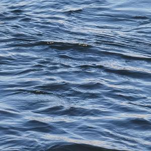 吉林的风吹过唐山吹到了河南