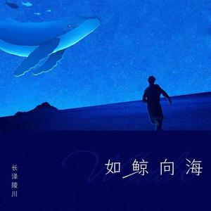 如鲸向海 (和声伴奏)