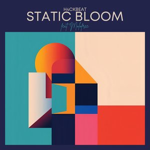 Static Bloom