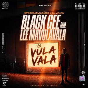 Vula vala (feat. Dj molto, Black Gee & LeeMavulavala)