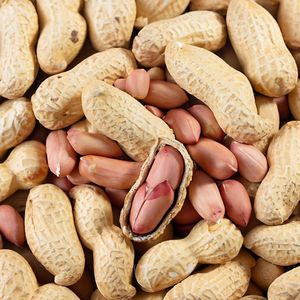 ピーナッツ (Peanuts Food Music)