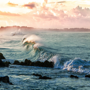 Wave