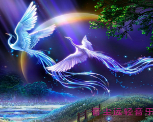 轻音乐-心灵雨伞