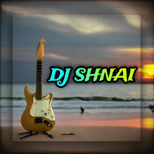 DJ SHNAI