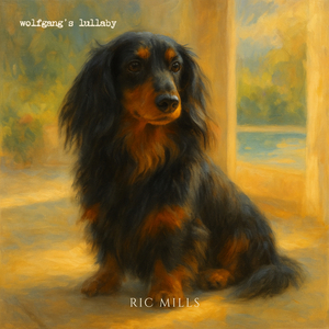 Wolfgang's Lullaby