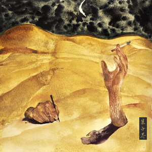 塔克拉玛干杀人夜（录音笔）