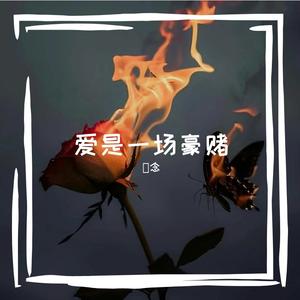 无法飞翔的翅膀有意义吗