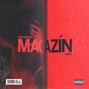 Magazin