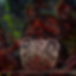 V*****l Coony Full of Vermin