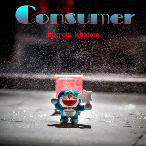 Consumer