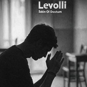 Sakin Ol Dostum