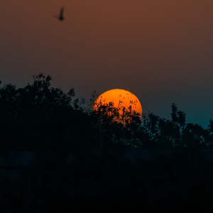 When I Have You In My Life (Relaxing Piano Music Version)