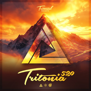 Figured Out (Tritonia 520)