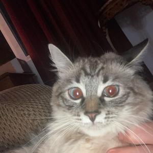 3 O'clock Things (Remix)