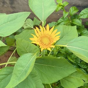 轻松一刻
