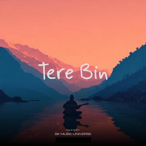 Tere Bin